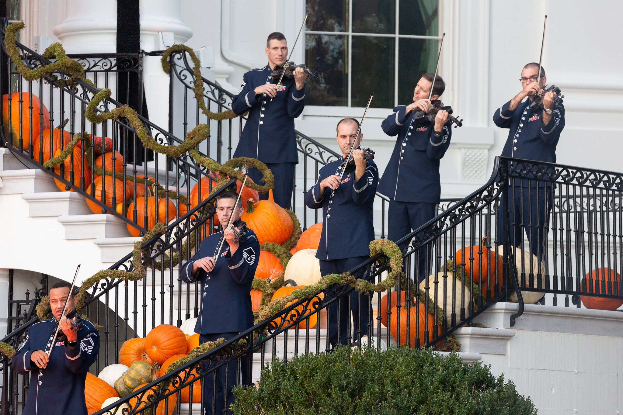 Jennifer Pickens White House Wednesdays Blog